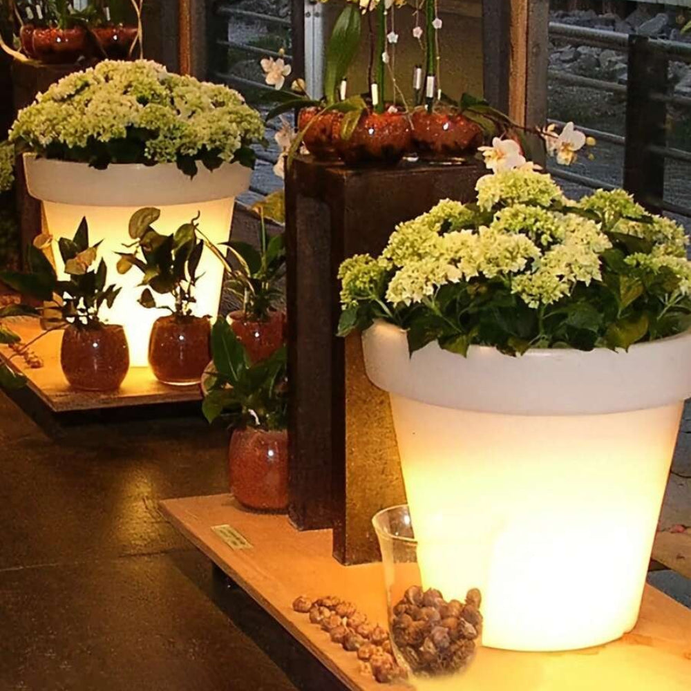 Solar Plant Lights, White LED Flower Pot Lights